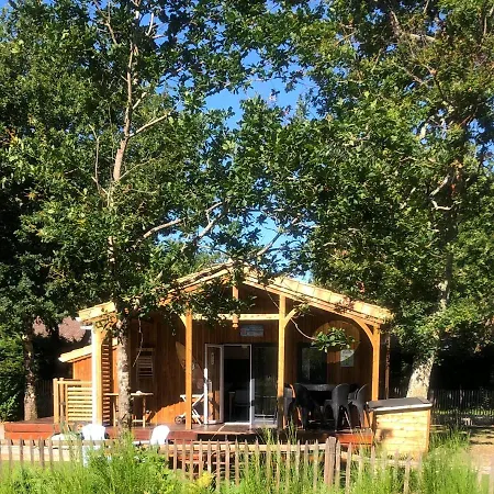 Prestige Au Coeur Du Bassin D'arcachon