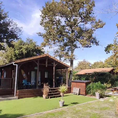 Prestige Au Coeur Du Bassin D'arcachon Chalet *