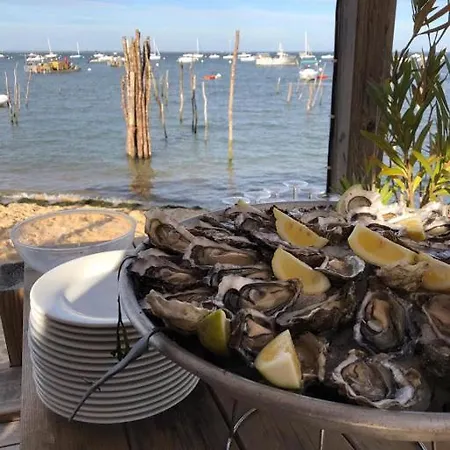 Prestige Au Coeur Du Bassin D'arcachon * ラ・テスト・ド・ビュシュ