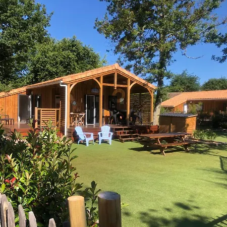 Chalet Prestige Au Coeur De La Pinède